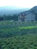 huerto