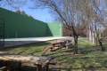 fronton