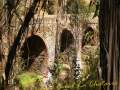 puente en la ruta del Odiel